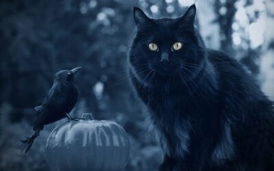 Freitag, der 13. – Unglückstag oder Aberglaube?