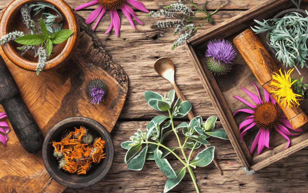 Kräutermagie: Die grüne Kraft der Natur entdecken