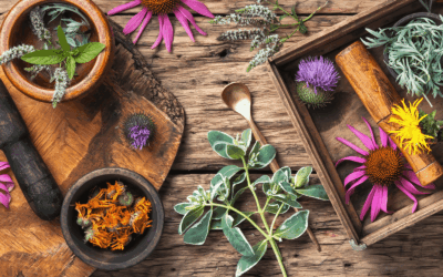 Kräutermagie: Die grüne Kraft der Natur entdecken