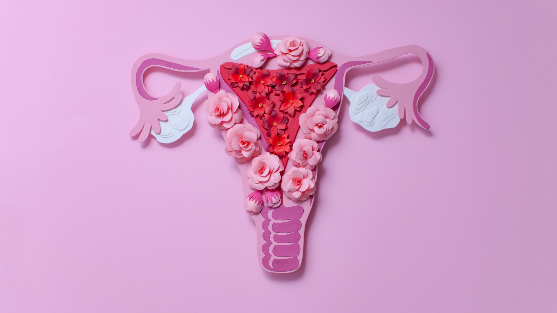 Uterus